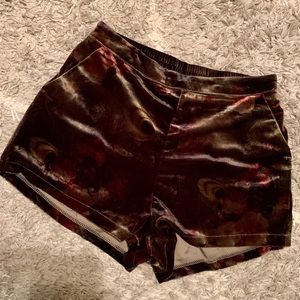 Velvet printed shorts with pocket